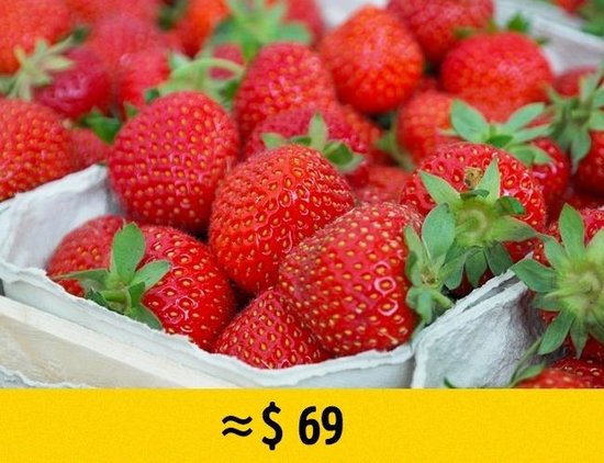 Dünyanın ən bahalı meyvələri - 13 min dollar