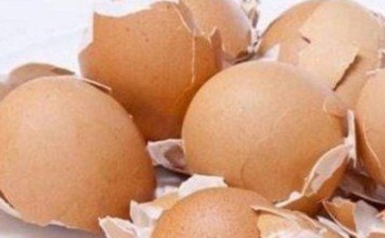 Yumurta qabığının 10 möcüzəvi faydası - VİDEO