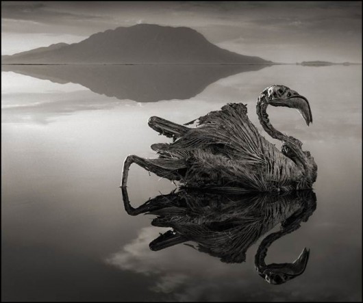 Ölüm gölü - bu nağıl yox, həqiqətdir - FOTOLAR