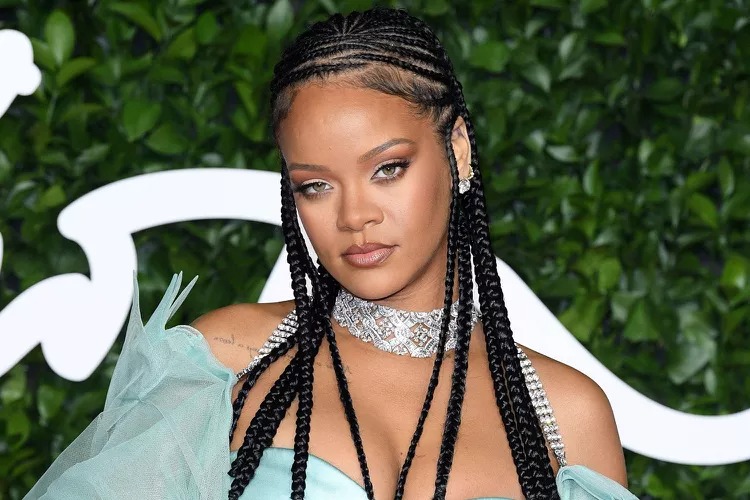 Rihanna alt paltarı brendinin reklamı üçün poza verdi - FOTOLAR