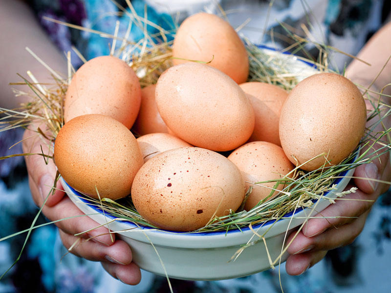 Ən sağlam yumurta növü açıqlandı: Növü yoxsa bişirilmə tərzi daha önəmlidir?