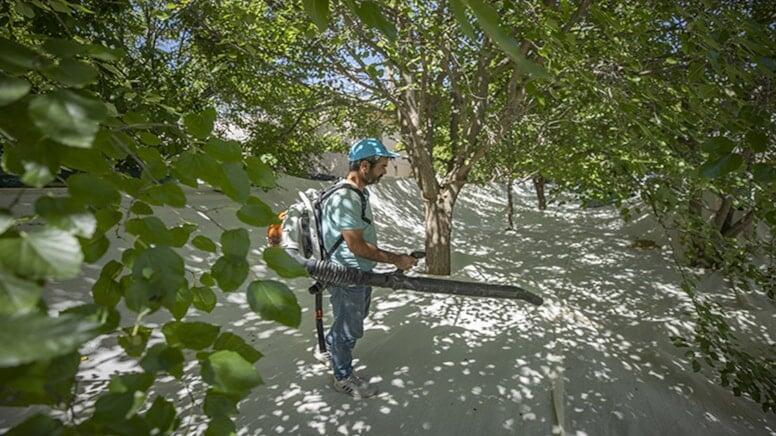 Təbiətdə pulsuz yetişən bu möcüzə vücudu başdan-ayağa yeniləyir