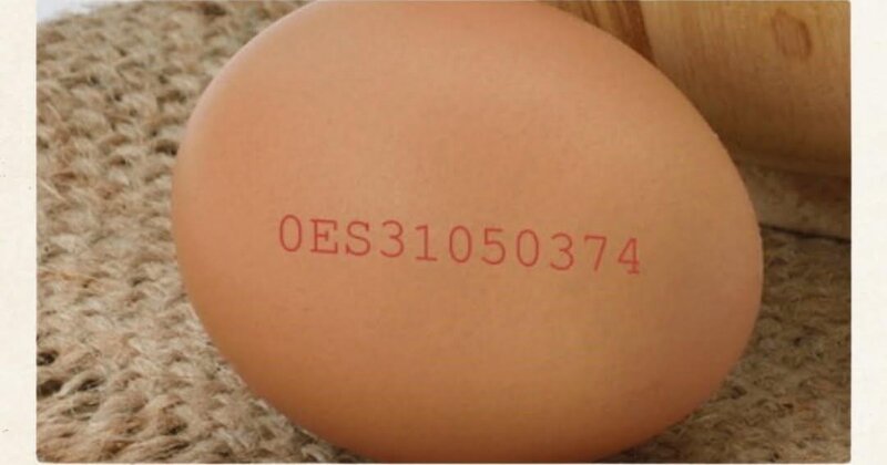 Yumurta alarkən mütləq koduna baxın - FOTO