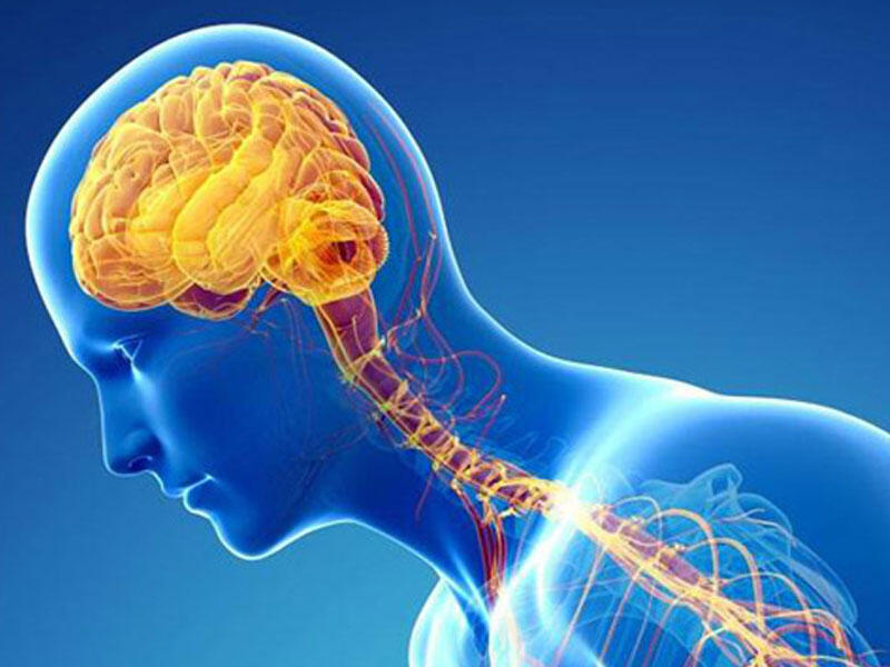 Parkinson xəstəliyi. SƏBƏBLƏR, SİMPTOMLAR, MÜALİCƏ