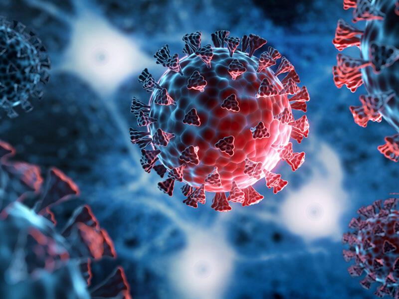 COVID-19-dan ölüm halı yalnız