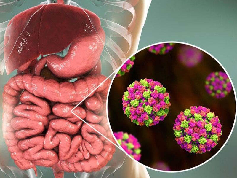 Koronavirus birbaşa mədə-bağırsaq sisteminə təsir edir - Səhiyyə nazirliyi eksperti