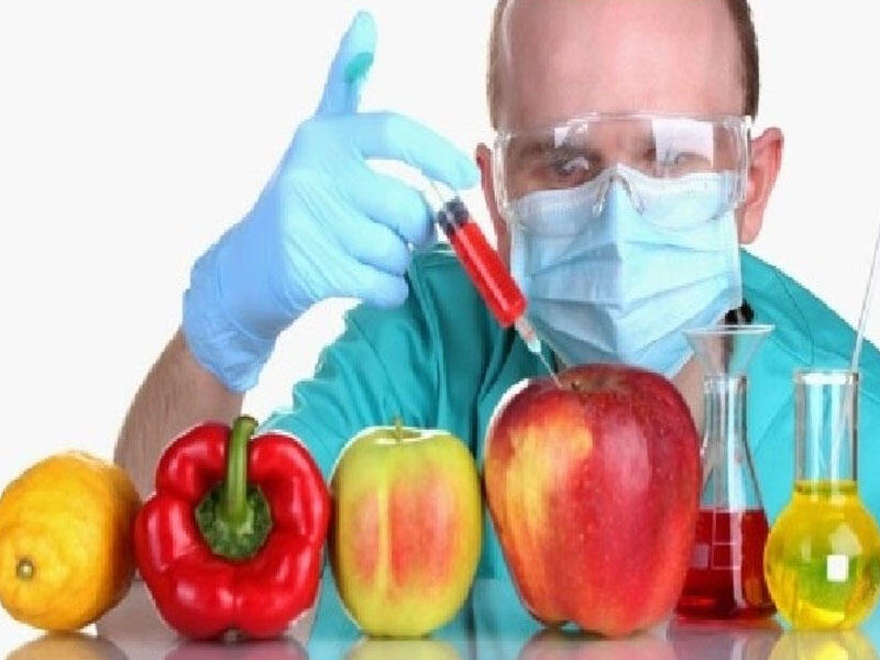 Klonlama və GMO