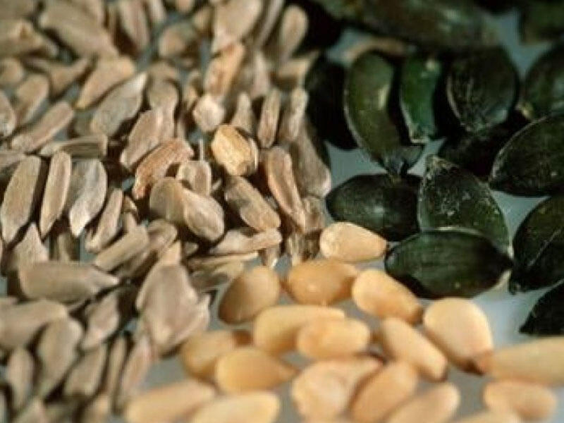 Günəbaxan tumunun təhlükələri