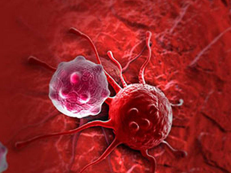 Somatotrop hormon və onun orqanizmdə rolu