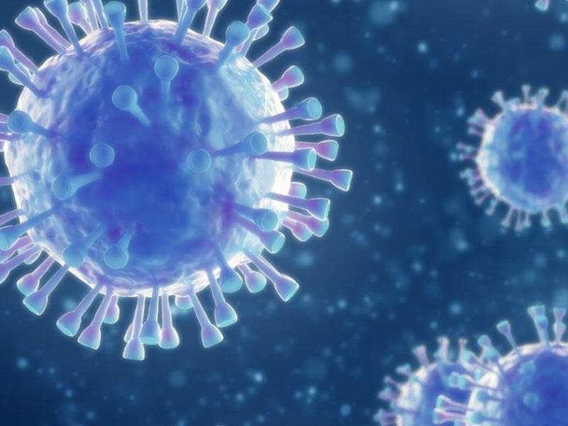 ÜST pandemiyanın yeni dalğalarının olacağını istisna etmir