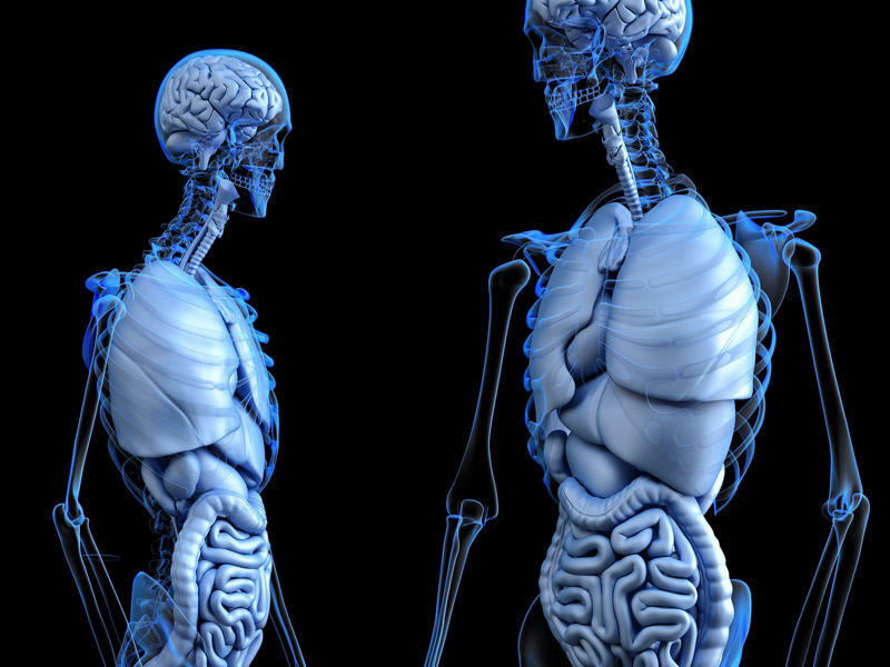 Bədənin qidalanması və onda gizlənən hikmətlər