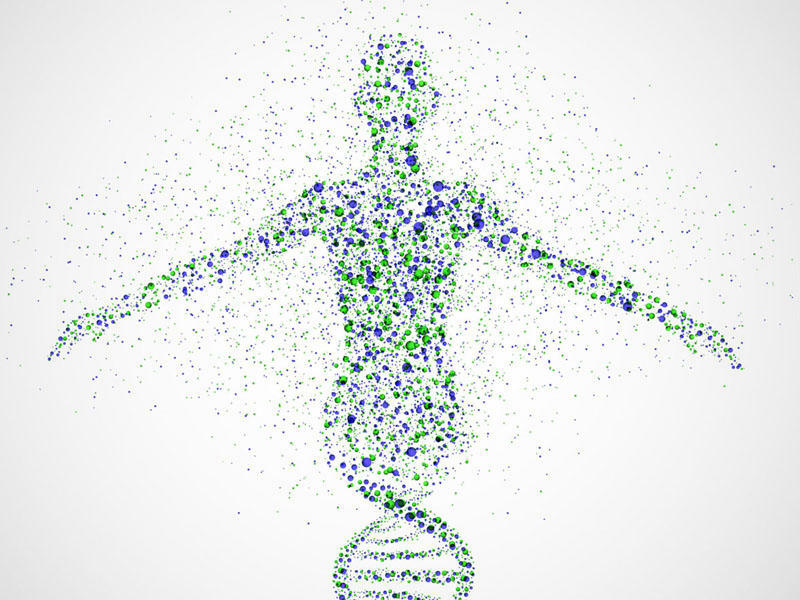 Orqanizmdə baş verən ekstremal vəziyyətlər