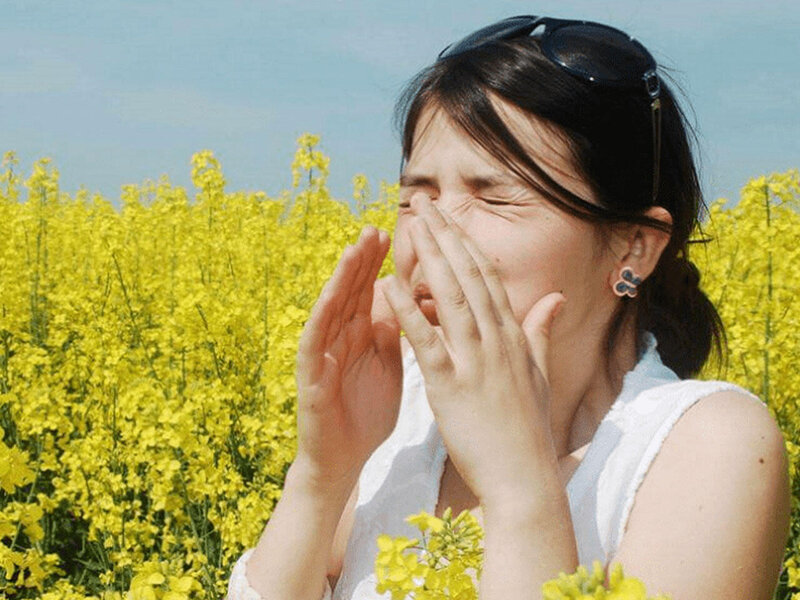 Pollinoz və ya mövsümi allergiya