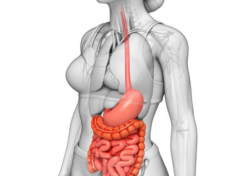 Qida borusu xəstəliklərinin simptomlar qrupu