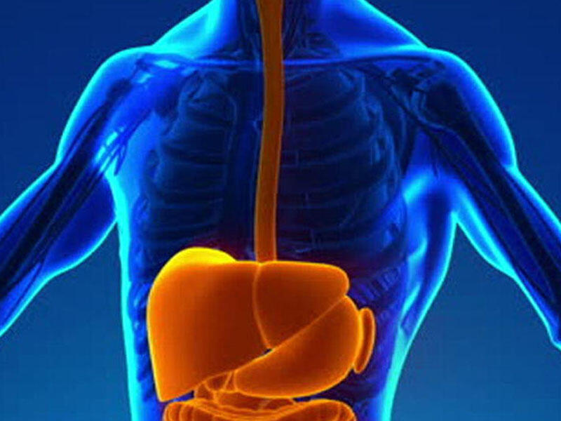 Həzm sisteminin hormonları