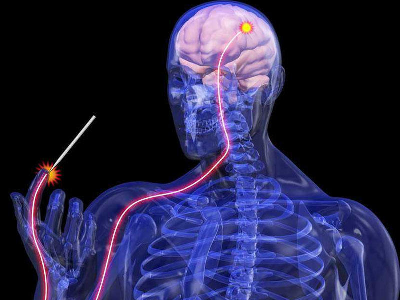 Hissiyyat pozulmalarının əlamətləri