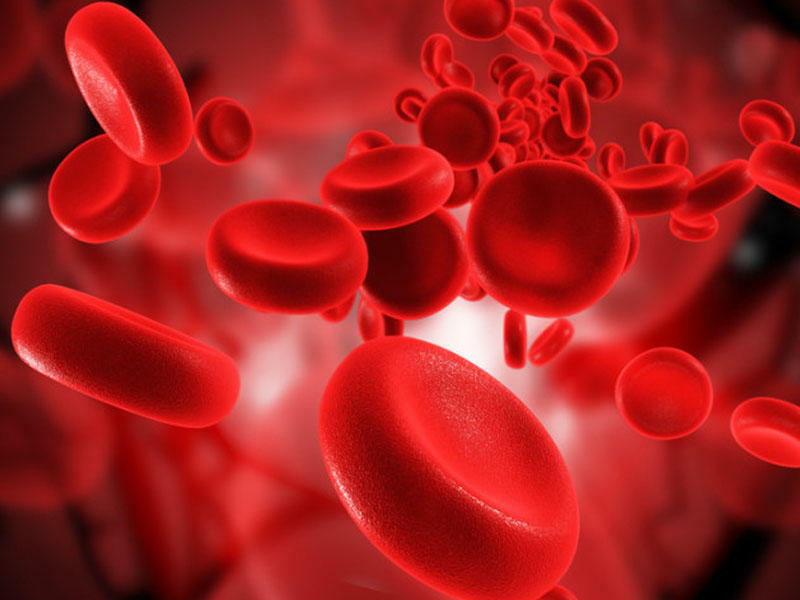 Qanda xolesterolu azaldan bitkilər