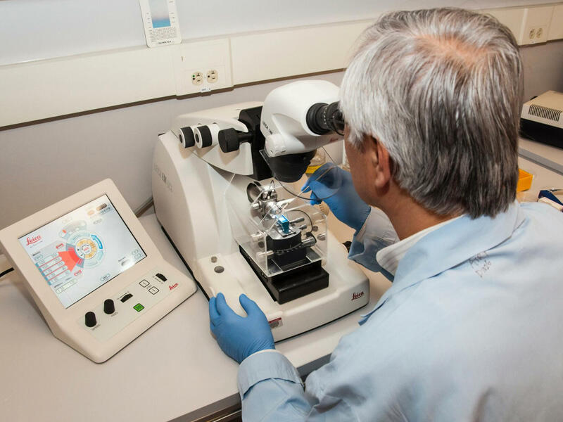 Alimlər bioloji yaşı azaltmağın yolunu tapdı