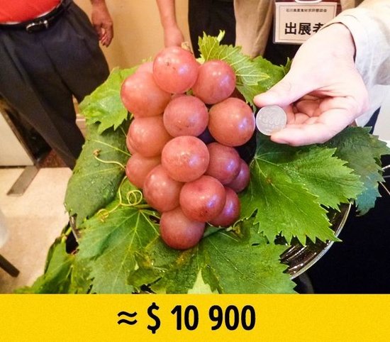 Dünyanın ən bahalı meyvələri - 13 min dollar