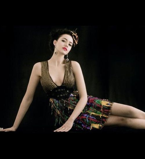 Fahriye Evcen haqqında