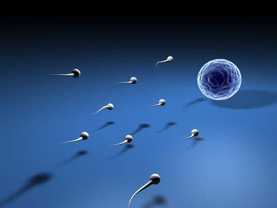 Sperma`nın laborator analizinin verilmə qaydası