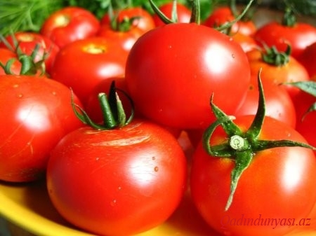 Pomidor sperma ifrazını yüksəldir