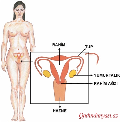 Uşaqlıq boynu xərçəngi