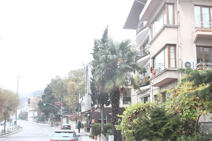 Ebru Polad pəncərə silərkən