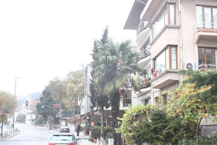Ebru Polad pəncərə silərkən