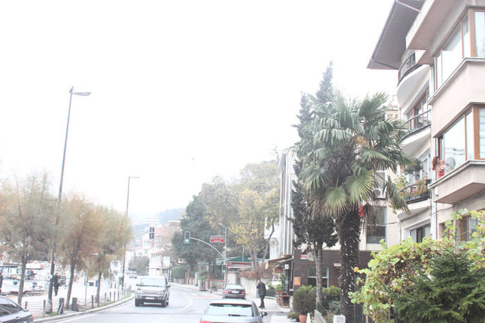 Ebru Polad pəncərə silərkən