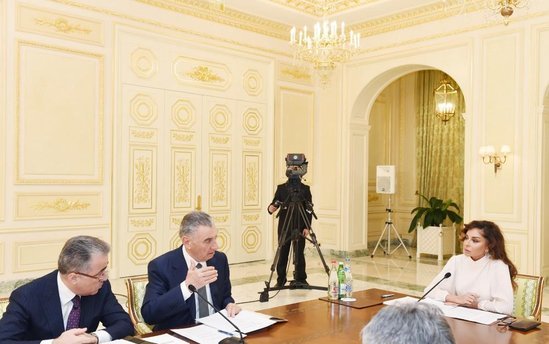 Birinci vitse-prezident Mehriban Əliyevanın sədrliyi ilə müşavirə keçirildi - FOTOLAR