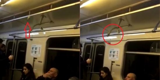 Bakı metrosunda sərnişinləri çaşdıran maraqlı hadisə (VİDEO)