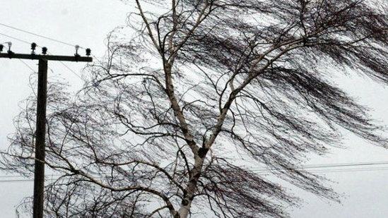 7 dərəcə ŞAXTA OLACAQ, güclü külək əsəcək - Sabahın HAVASI