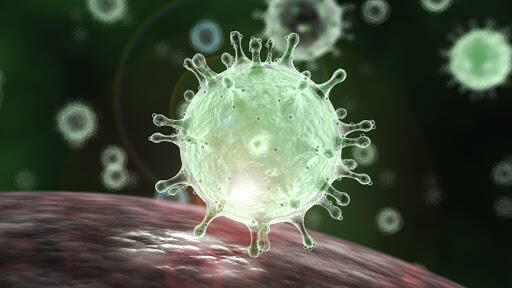Alimlər koronavirusu zərərsizləşdirməyin ÜSULUNU TAPDI