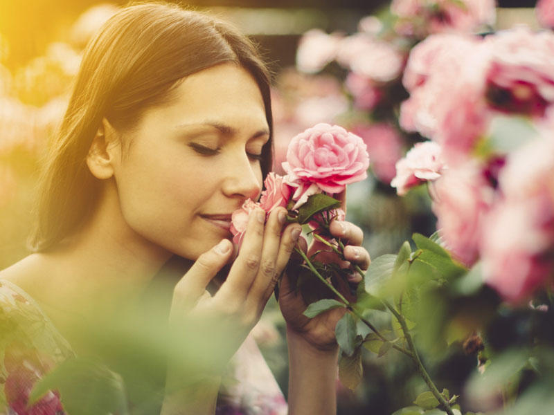 Gül qoxusu yaddaşı gücləndirir