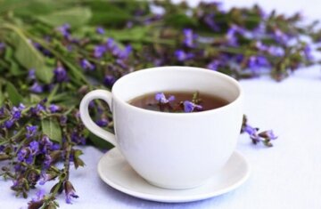Koronavirusla mübarizə üçün ən effektiv çay