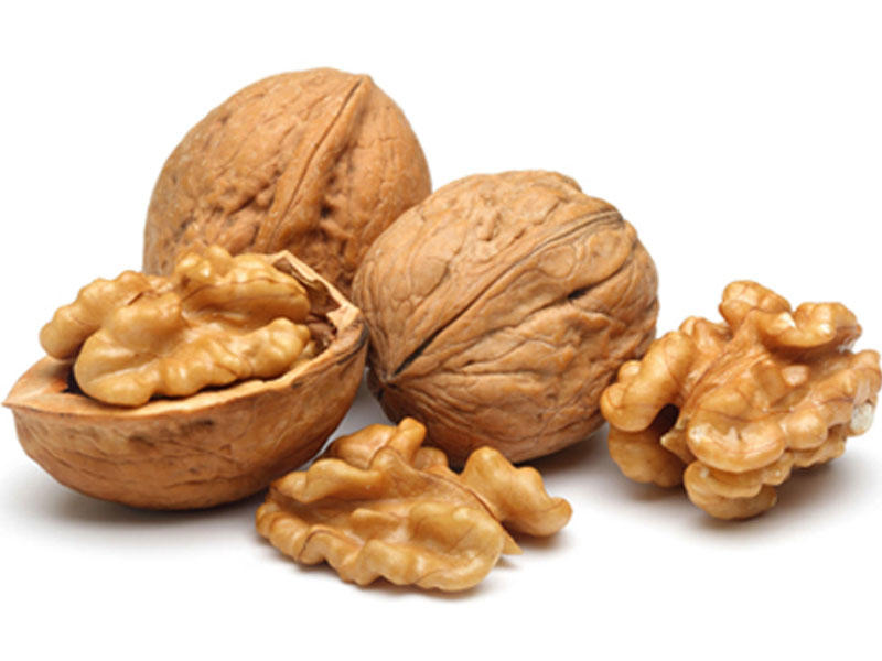 Qoz xərçəngin bu növündən qoruyur