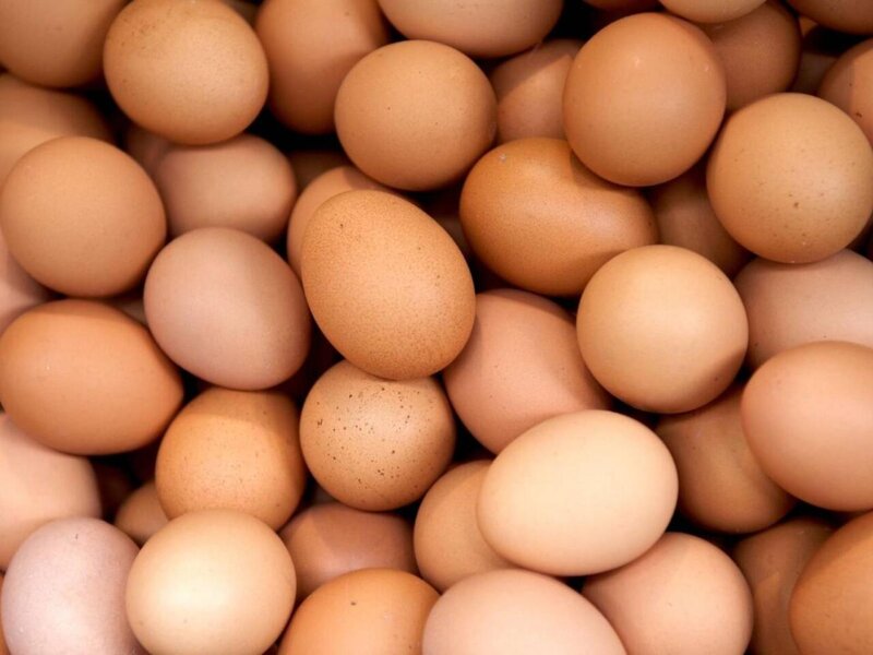 Yumurtanı soyuducuda tərs saxlayın - Görün nə olacaq