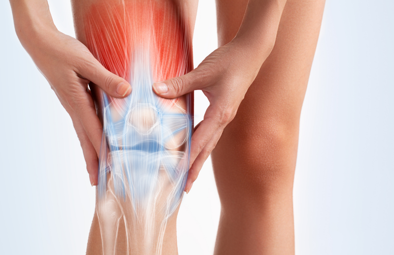 Qığırdaq və sümükləri 