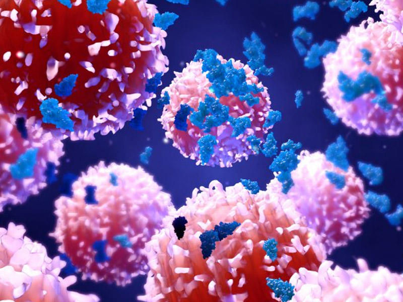 4 manatlıq məhsul xərçəngin dərmanıdır