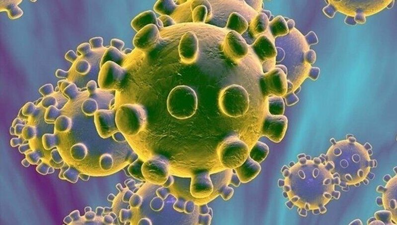 4 növ koronavirus daim aramızdadır - Virusoloq