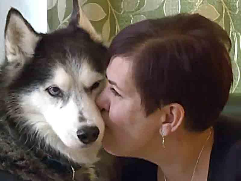 Ağıllı it sahibini ölümdən belə xilas etdi