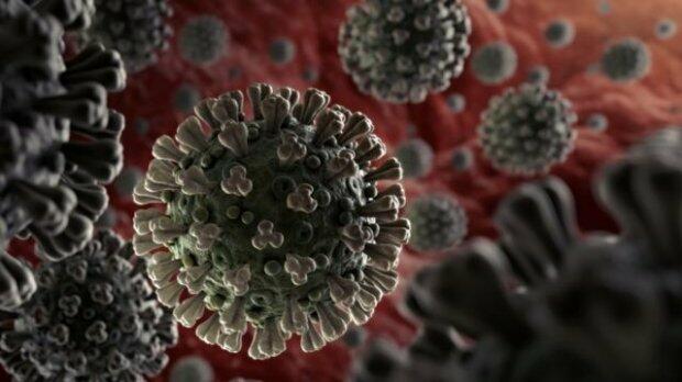 Koronavirusun fəsadları: Xərçəng, ürək-damar xəstəlikləri və daha nələr