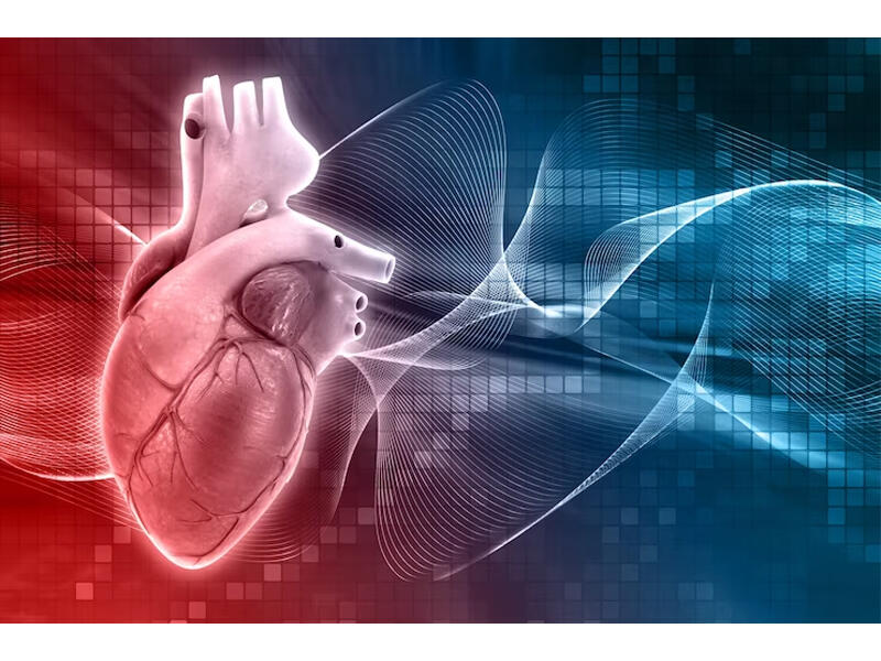 3 min insanın nə yeyib-içdiyini illərlə izlədilər - Ürəyi yormayan qidalar açıqlandı