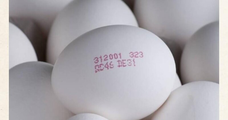 Yumurta alarkən mütləq koduna baxın - FOTO