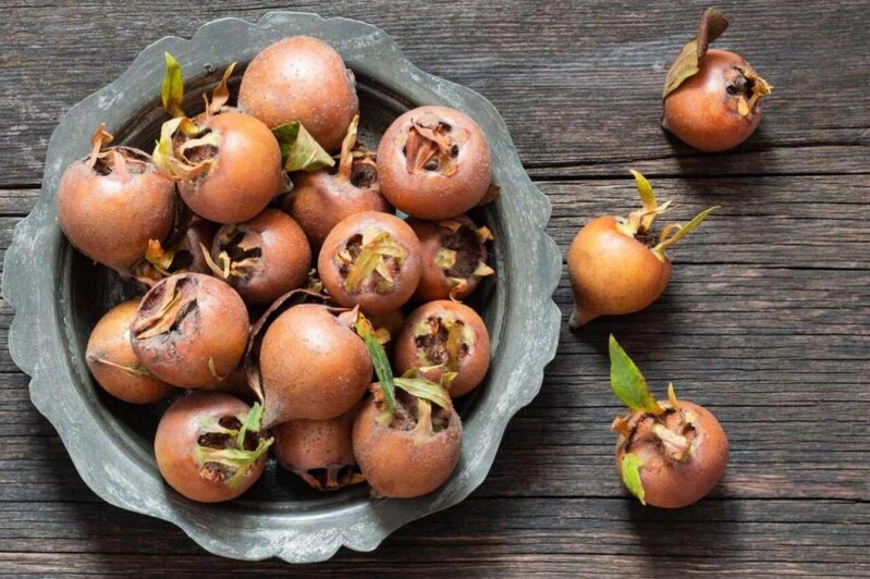 Əzgilin bu faydaları varmış