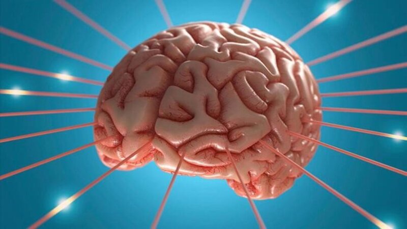 Beyin fəaliyyətini yaxşılaşdırmağın 5 yolu