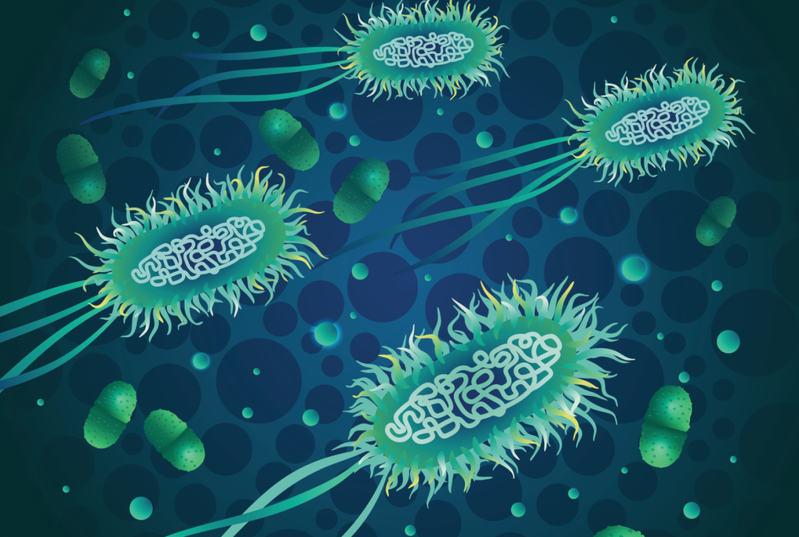 Alimlər antibiotiklərə davamlı bakteriyaları məhv etməyin yolunu tapdılar