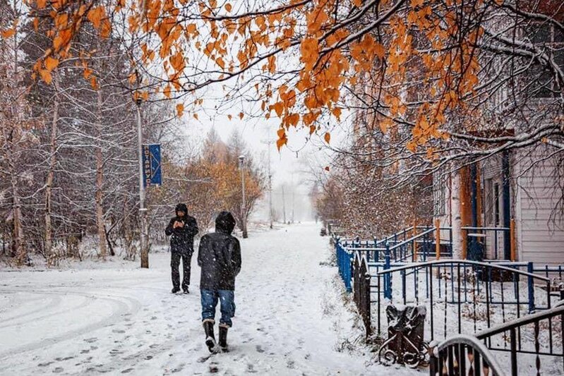 Dünyanın ən sərt qışı gəlir - İqlim dəyişikliyi alimləri narahat edir