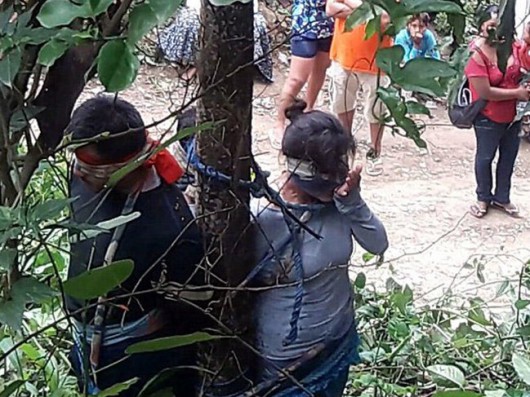 DƏHŞƏT: Qadını ağaca bağlayıb qarışqalara yedirtdilər - FOTO